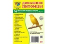 Раздаточные карточки Домашние питомцы (16 шт. на русс./анг. языках) Раздаточные карточки Домашние питомцы (16 шт. на русс./анг. языках)