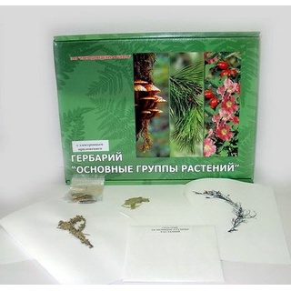 Гербарий "Основные группы растений" (52 листа) формат А-4