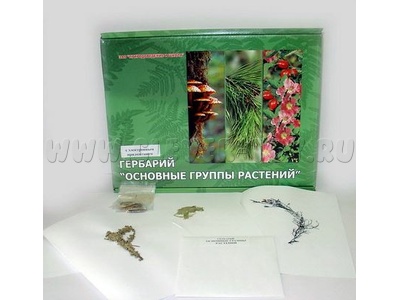 Гербарий "Основные группы растений" (52 листа) формат А-4
