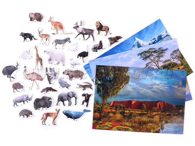 Магнитное развивающее пособие "Кто где живёт." (Африка-Арктика-Австралия) Магнитное развивающее пособие "Кто где живёт." (Африка-Арктика-Австралия)