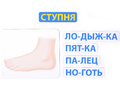Магнитное развивающее пособие: "Тело человека: первые вопросы - первые ответы" Магнитное развивающее пособие: "Тело человека: первые вопросы - первые ответы"